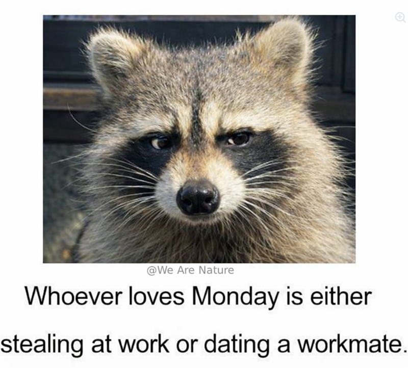 @We Are Nature Whoever loves Monday is either stealing at work or dating a workmate.