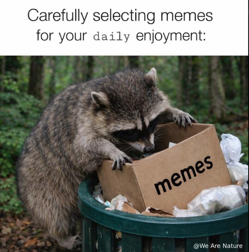 Carefully selecting memes. for your daily enjoyment: memes @We Are Nature
