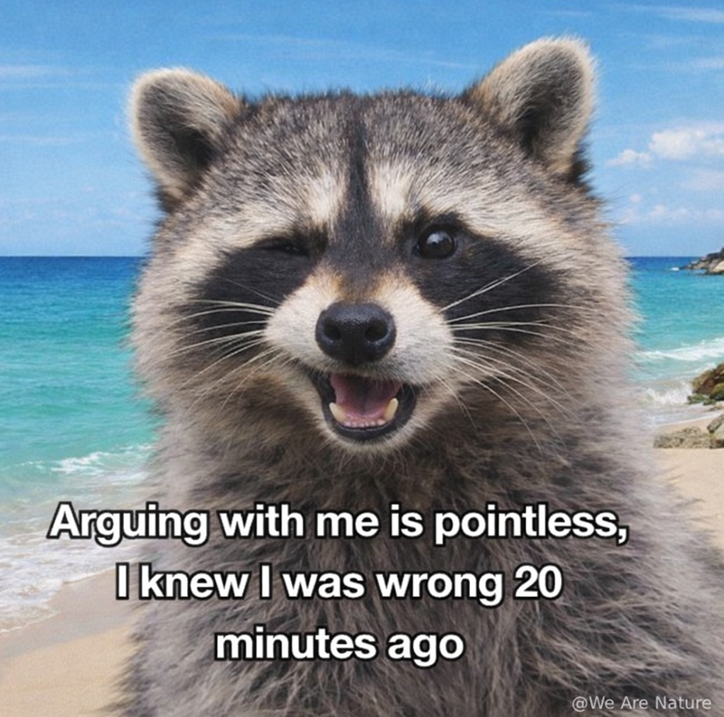 Arguing with me is pointless, I knew I was wrong 20 minutes ago @We Are Nature