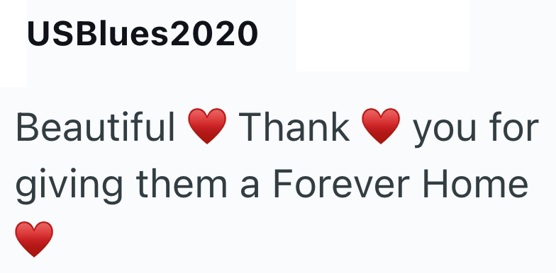 USBlues2020 Beautiful Thank you for giving them a Forever Home