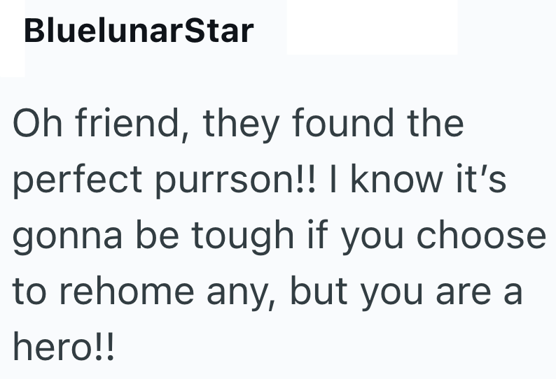 BluelunarStar Oh friend, they found the perfect purrson!! I know it's gonna be tough if you choose to rehome any, but you are a hero!!