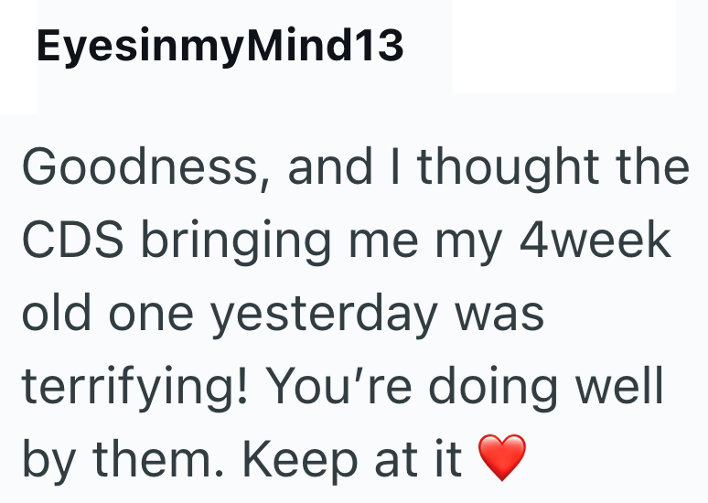 EyesinmyMind13 Goodness, and I thought the CDS bringing me my 4week old one yesterday was terrifying! You're doing well by them. Keep at it