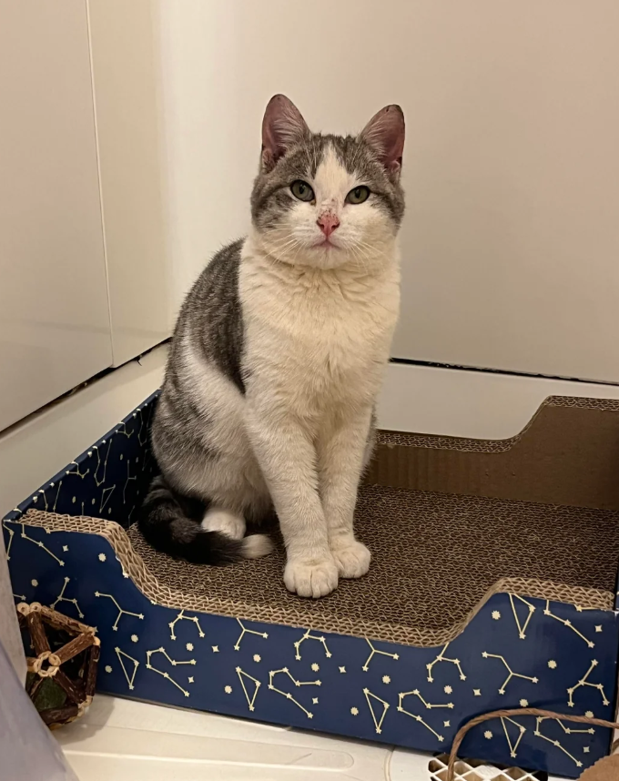 Cheezburger Image 10625697536