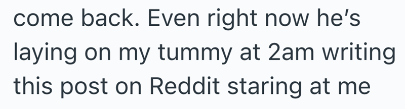come back. Even right now he's laying on my tummy at 2am writing this post on Reddit staring at me