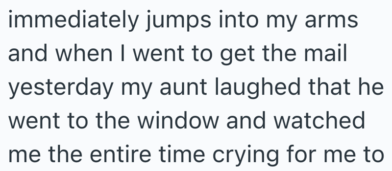 immediately jumps into my arms and when I went to get the mail yesterday my aunt laughed that he went to the window and watched me the entire time crying for me to