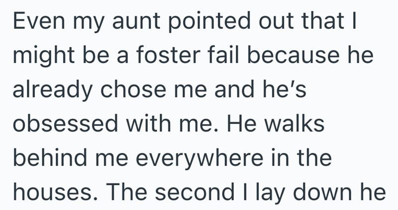 Even my aunt pointed out that I might be a foster fail because he already chose me and he's obsessed with me. He walks behind me everywhere in the houses. The second I lay down he