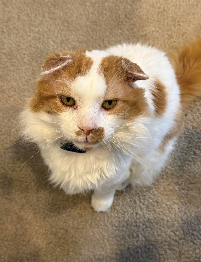 Cheezburger Image 10625700608