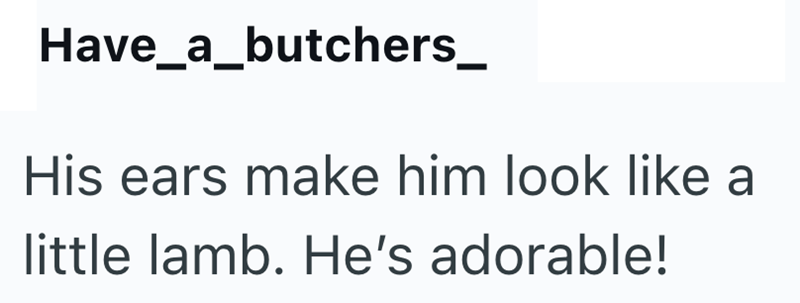 Have_a_butchers_ His ears make him look like a little lamb. He's adorable!