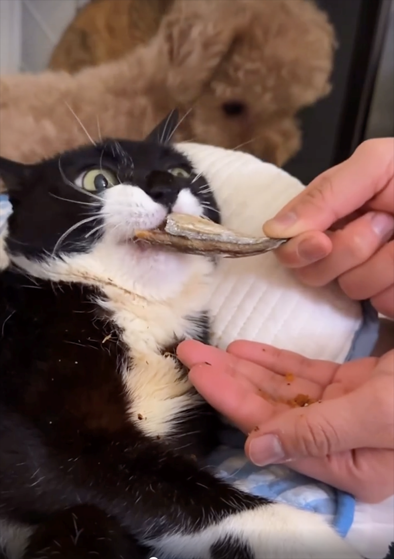 Cheezburger Image 10625709056