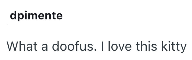 dpimente What a doofus. I love this kitty