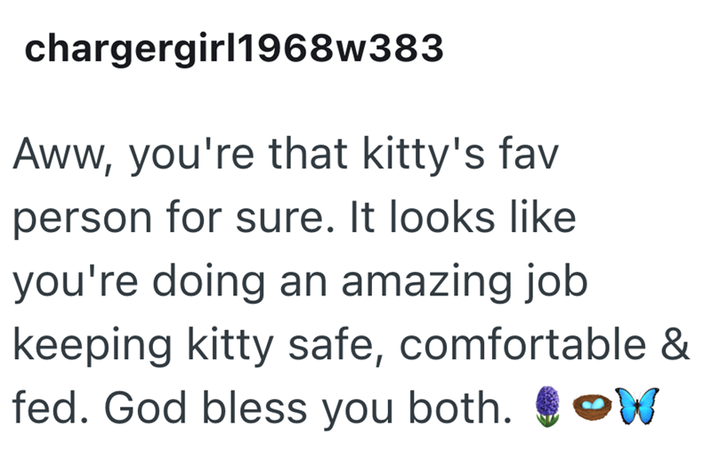 chargergirl1968w383 Aww, you're that kitty's fav person for sure. It looks like you're doing an amazing job keeping kitty safe, comfortable & fed. God bless you both. W