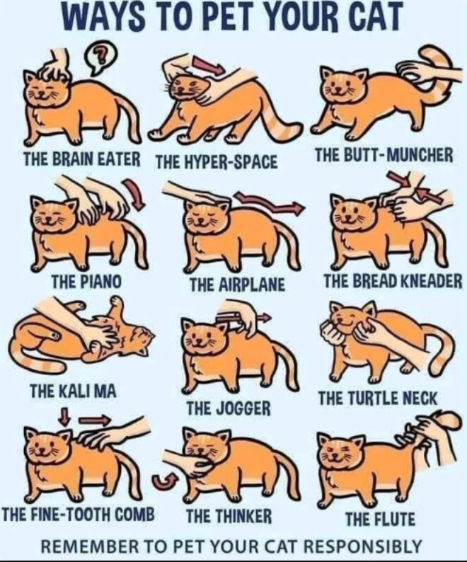 WAYS TO PET YOUR CAT THE BRAIN EATER THE HYPER-SPACE THE BUTT-MUNCHER THE PIANO THE AIRPLANE THE BREAD KNEADER THE KALI MA THE TURTLE NECK THE JOGGER THE FINE-TOOTH COMB THE THINKER THE FLUTE REMEMBER TO PET YOUR CAT RESPONSIBLY