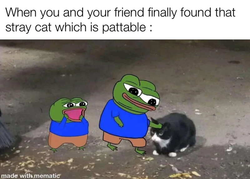 When you and your friend finally found that stray cat which is pattable : made with mematic