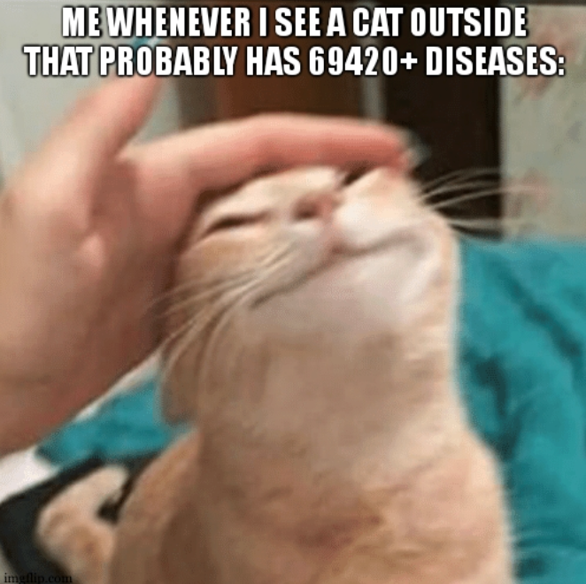 ME WHENEVER I SEE A CAT OUTSIDE THAT PROBABLY HAS 69420+ DISEASES: imgflip.com