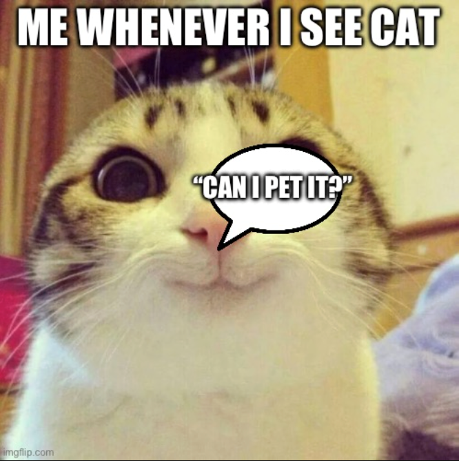 ME WHENEVER I SEE CAT imgflip.com "CAN I PET IT?"