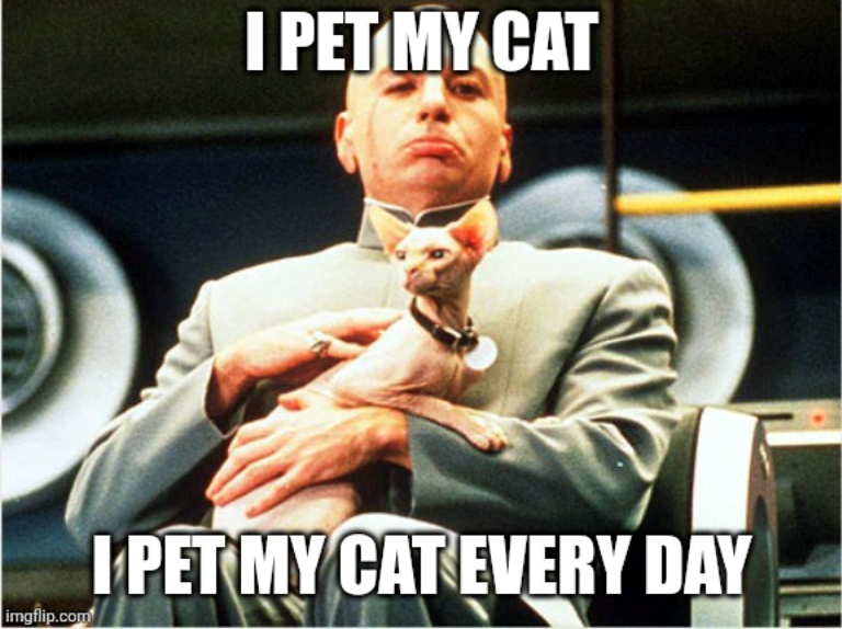 I PET MY CAT imgflip.com I PET MY CAT EVERY DAY