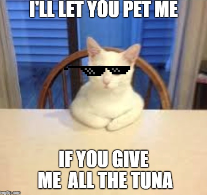 I'LL LET YOU PET ME imgflip.com IF YOU GIVE ME ALL THE TUNA
