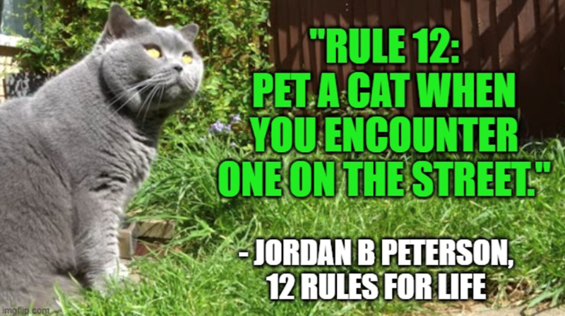 imgflip.com "RULE 12: PET A CAT WHEN YOU ENCOUNTER ONE ON THE STREET JORDAN B PETERSON, 12 RULES FOR LIFE