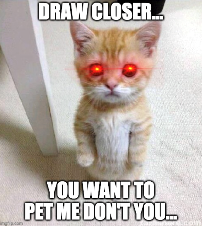 DRAW CLOSER... imgflip.com YOU WANT TO PET ME DON'T YOU..