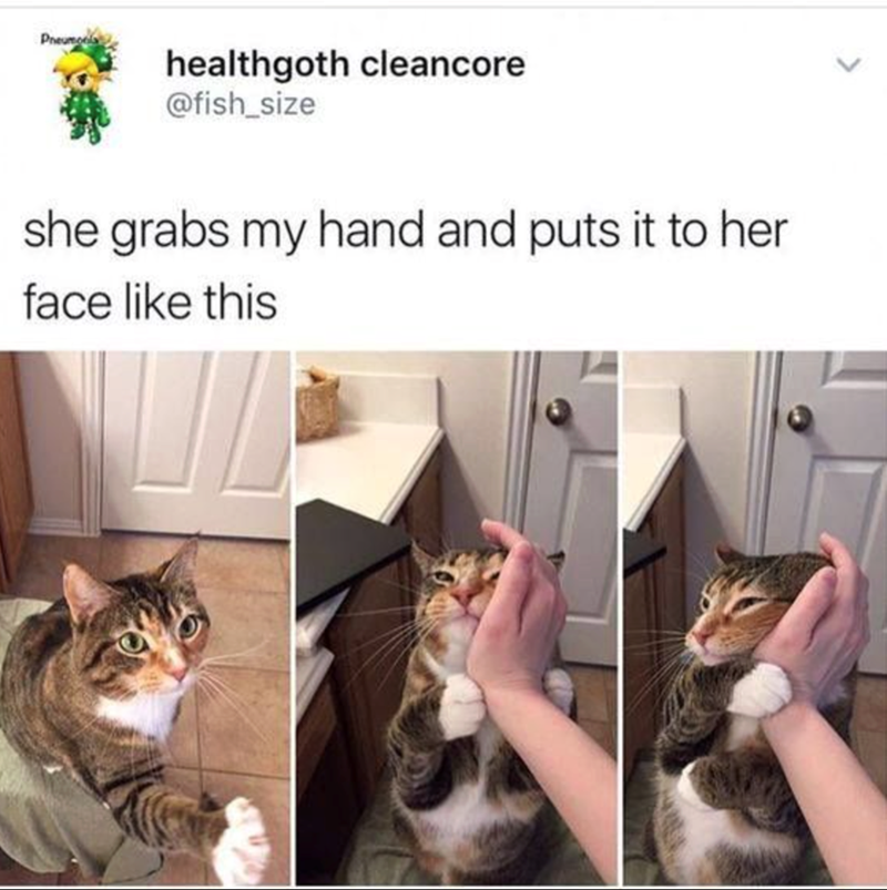 Pneumonia healthgoth cleancore @fish_size she grabs my hand and puts it to her face like this