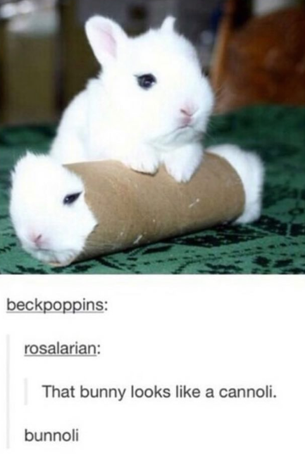beckpoppins: rosalarian: That bunny looks like a cannoli. bunnoli