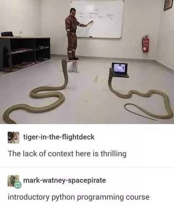 tiger-in-the-flightdeck The lack of context here is thrilling mark-watney-spacepirate introductory python programming course