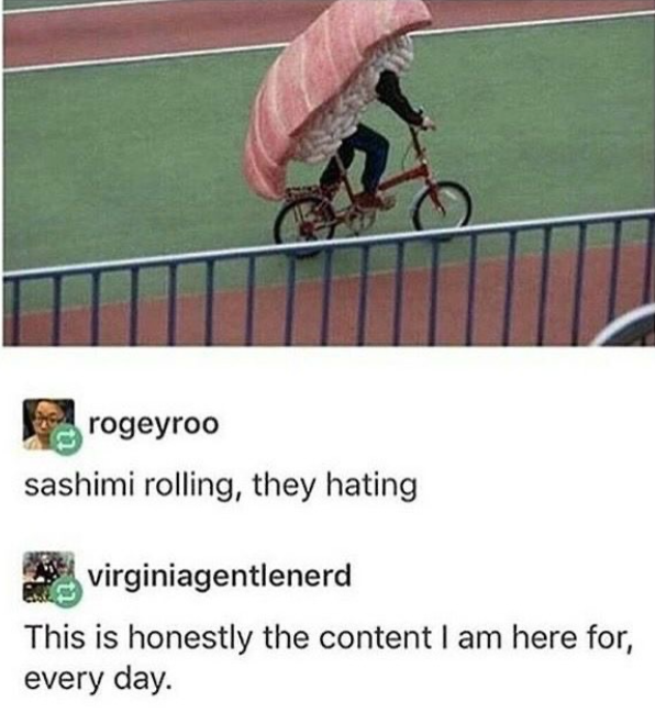 rogeyroo sashimi rolling, they hating virginiagentlenerd This is honestly the content I am here for, every day.