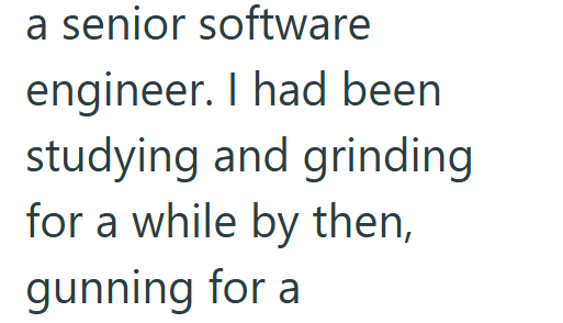 a senior software engineer. I had been studying and grinding for a while by then, gunning for a