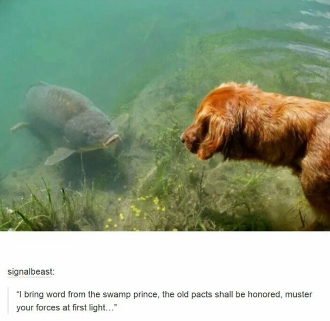 signalbeast: "I bring word from the swamp prince, the old pacts shall be honored, muster your forces at first light..."