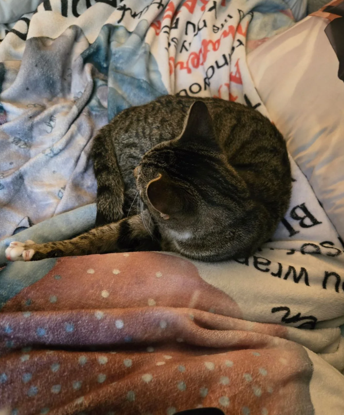 hoo afer N S B u wra