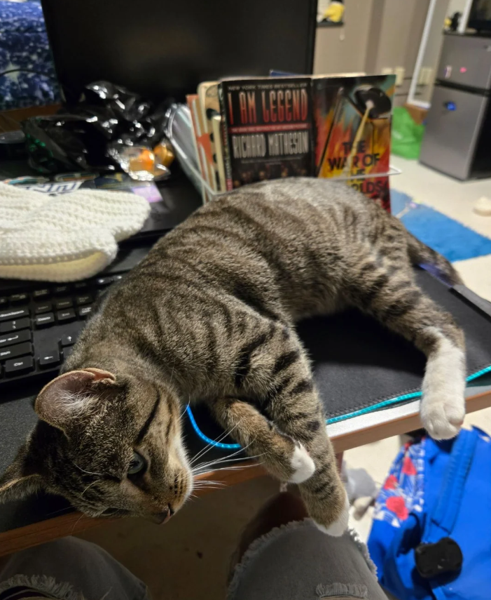 AM LEGEND RICHARD MATHESON E WAR OF PLDS