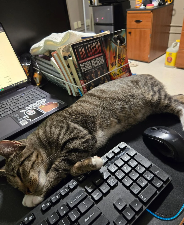 F10 F11 P12 Prt Ser Sys Pa NEW YORK TIMES BESTSELLER AM LEGEND RICHARD MATHESON WAR OF WORLDS WELLS A Targus 58 <BackSpace Insert Page Home Up Delete End Page Down 13 Enter Home 5 1 End 6 21 3 Pi On Entr 0 Del SUB lootech