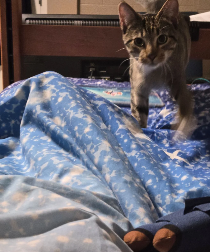 Cheezburger Image 10625761792