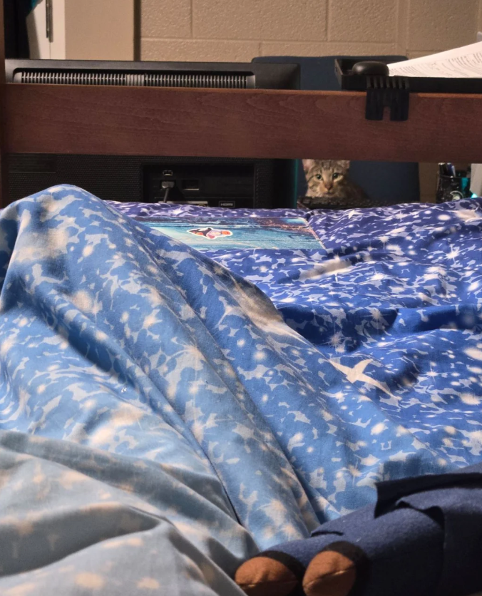 Cheezburger Image 10625762048