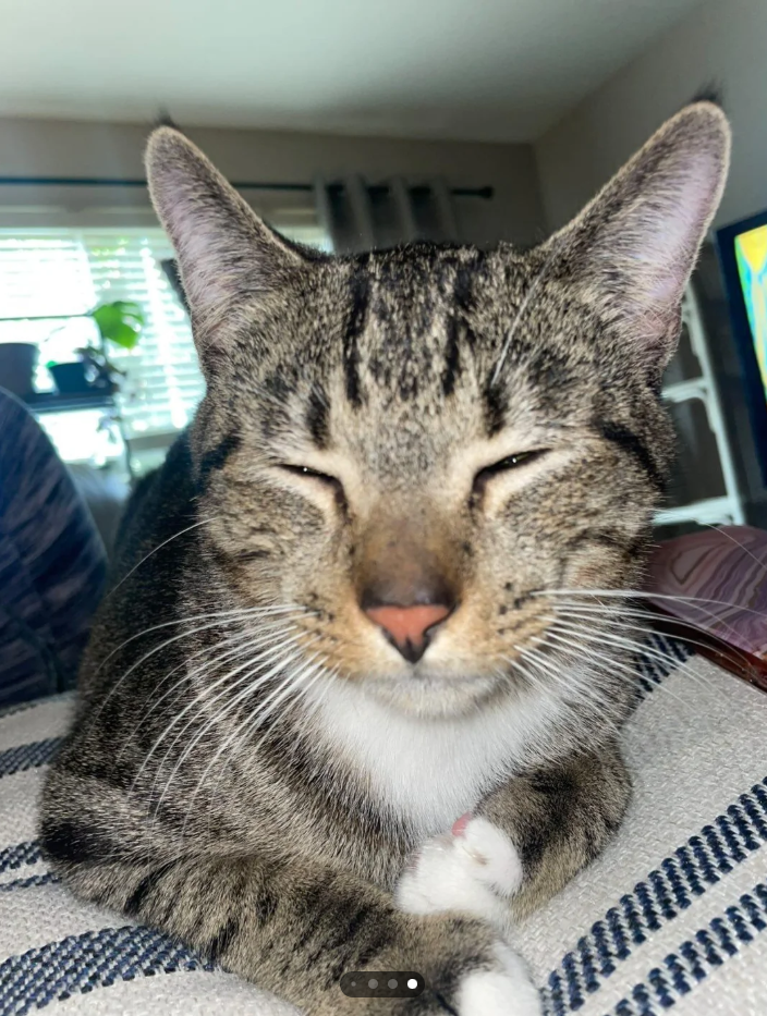 Cheezburger Image 10625762816