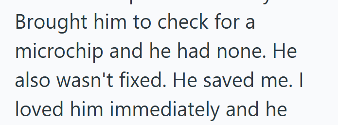 Brought him to check for a microchip and he had none. He also wasn't fixed. He saved me. I loved him immediately and he