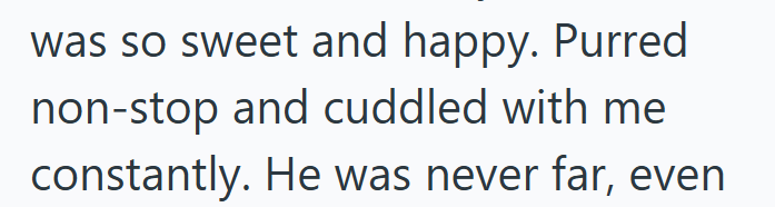 was so sweet and happy. Purred non-stop and cuddled with me constantly. He was never far, even