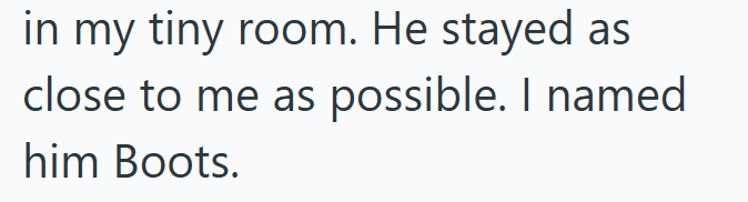 in my tiny room. He stayed as close to me as possible. I named him Boots.