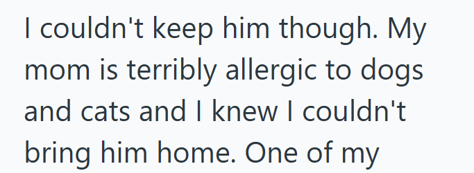 I couldn't keep him though. My. mom is terribly allergic to dogs and cats and I knew I couldn't bring him home. One of my