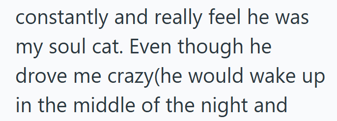 constantly and really feel he was my soul cat. Even though he drove me crazy(he would wake up in the middle of the night and