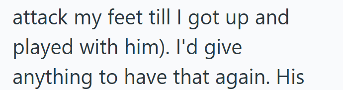 attack my feet till I got up and played with him). I'd give anything to have that again. His