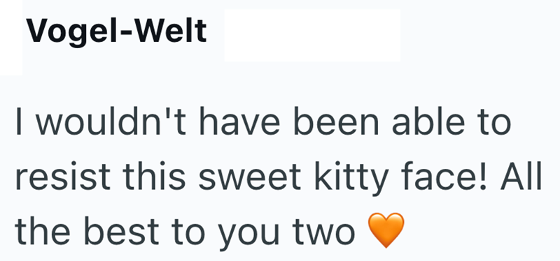Vogel-Welt I wouldn't have been able to resist this sweet kitty face! All the best to you two