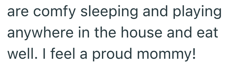 are comfy sleeping and playing anywhere in the house and eat well. I feel a proud mommy!