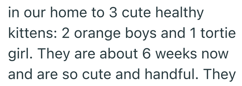 in our home to 3 cute healthy kittens: 2 orange boys and 1 tortie girl. They are about 6 weeks now and are so cute and handful. They