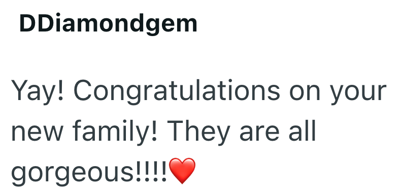 DDiamondgem Yay! Congratulations on your new family! They are all gorgeous!!!!