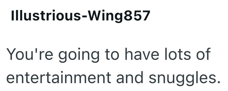 Illustrious-Wing857 You're going to have lots of entertainment and snuggles.