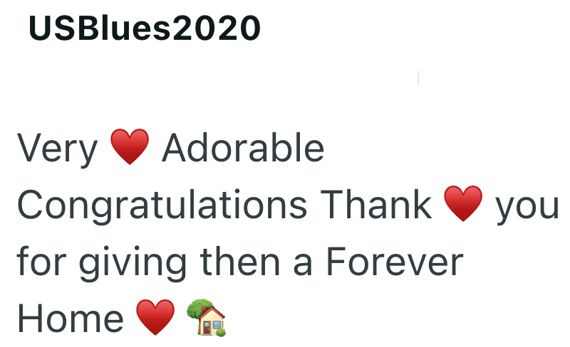 USBlues2020 Very Adorable Congratulations Thank for giving then a Forever Home you