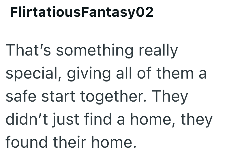 FlirtatiousFantasy02 That's something really special, giving all of them a safe start together. They didn't just find a home, they found their home.