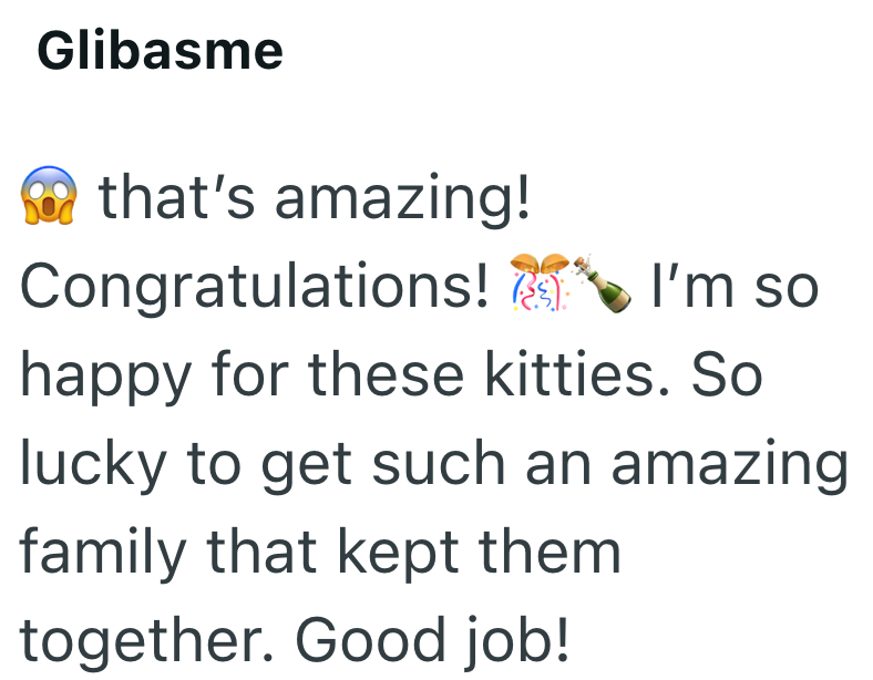 Glibasme that's amazing! Congratulations! I'm so happy for these kitties. So lucky to get such an amazing family that kept them together. Good job!