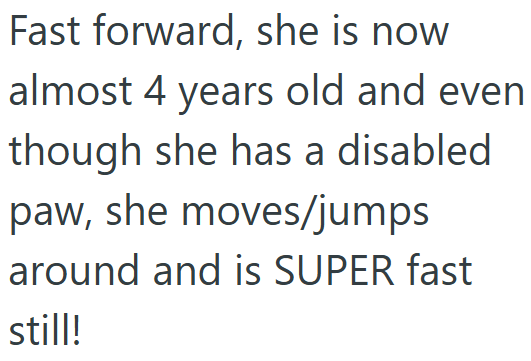 Fast forward, she is now almost 4 years old and even though she has a disabled paw, she moves/jumps around and is SUPER fast still!